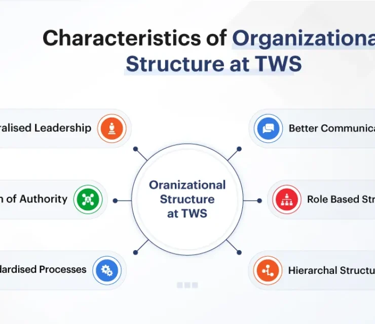 Organizational Structure at TWS