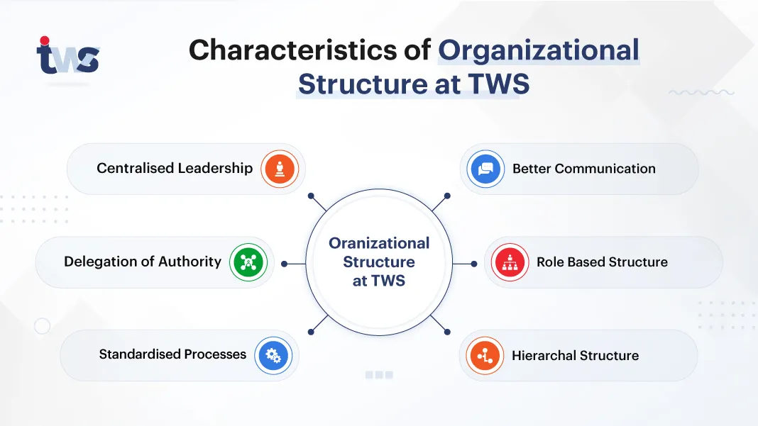 Organizational Structure at TWS